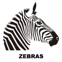 zebras-vinilos-decorativos-pegatinas